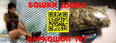 МДПВ Будённовск