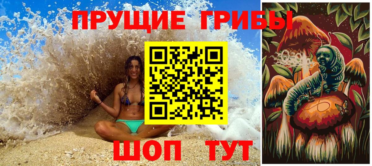 Галлюциногенные грибы прущие грибы  Вход с VPN  Туймазы 